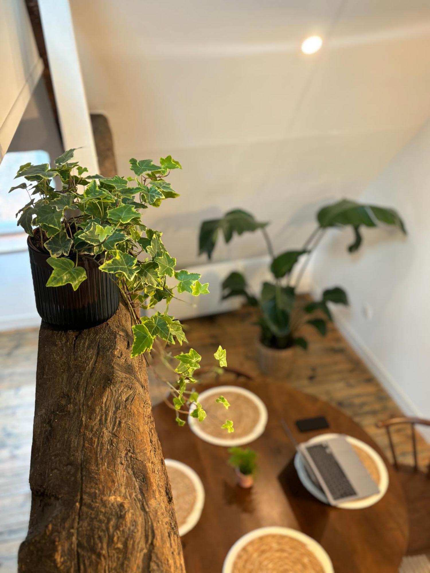 Appartement Le Grenier Chic, T2 Centre-ville